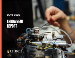 Endowment Report