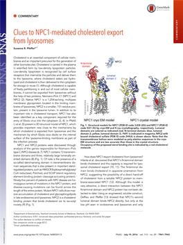 Clues to NPC1-Mediated Cholesterol Export from Lysosomes