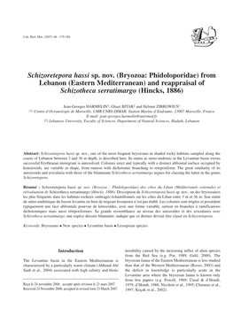 Schizoretepora Hassi Sp. Nov. (Bryozoa: Phidoloporidae) from Lebanon (Eastern Mediterranean) and Reappraisal of Schizotheca Serratimargo (Hincks, 1886)