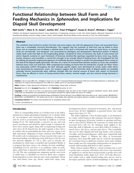 Functional Relationship Between Skull Form and Feeding Mechanics in Sphenodon, and Implications for Diapsid Skull Development