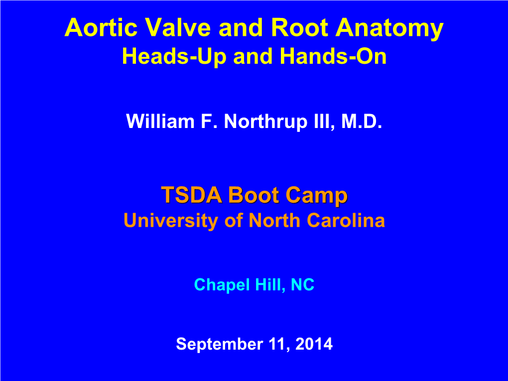 Aortic Valve Surgery Homograft