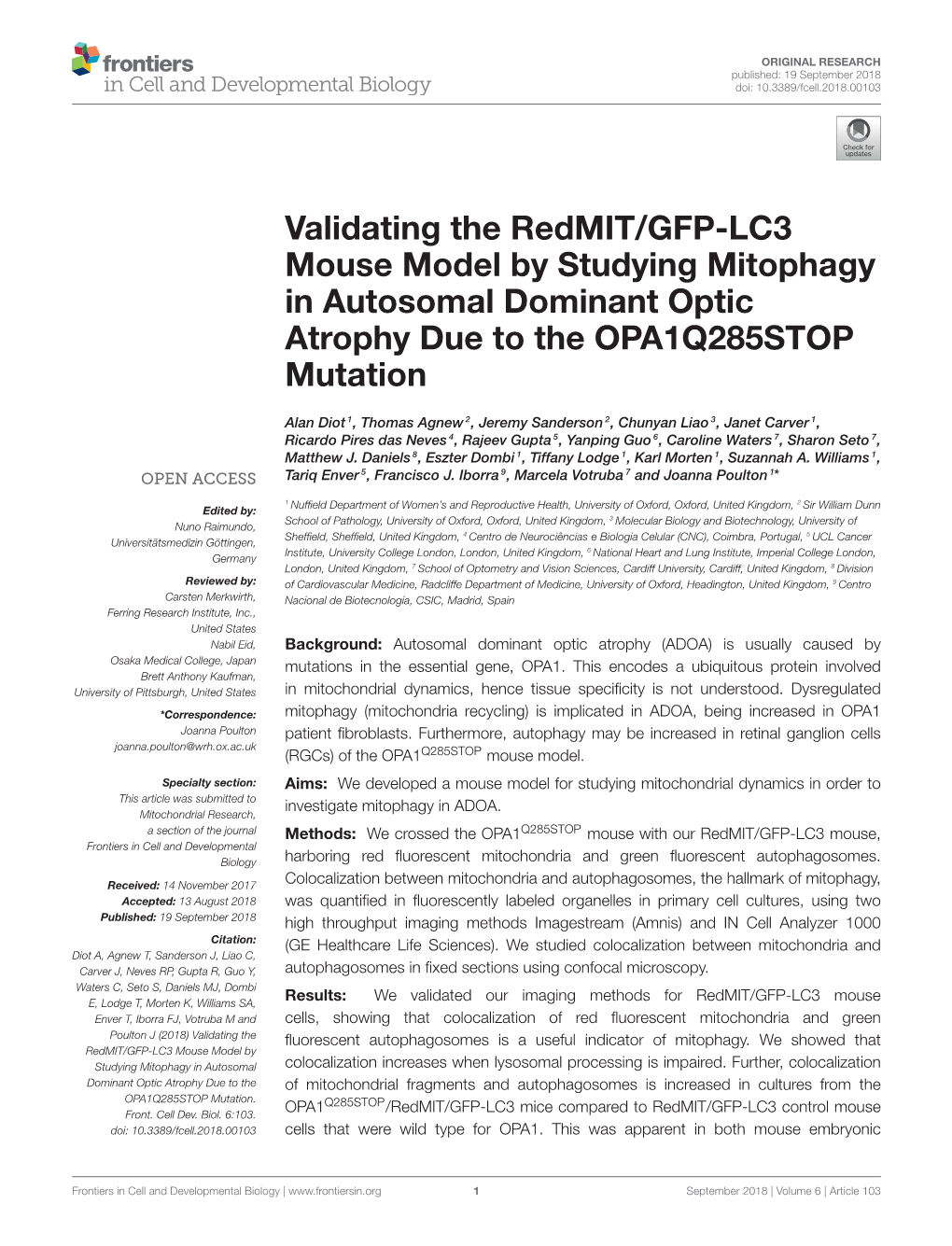 Validating the Redmit/GFP-LC3 Mouse Model by Studying Mitophagy in Autosomal Dominant Optic Atrophy Due to the OPA1Q285STOP Mutation