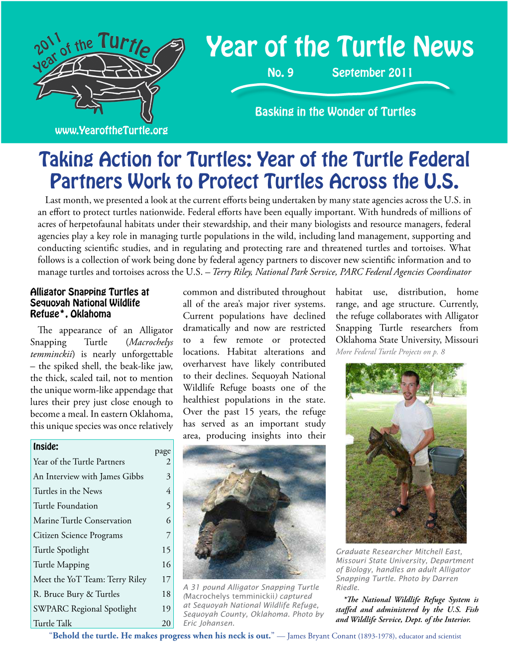 Year of the Turtle News No