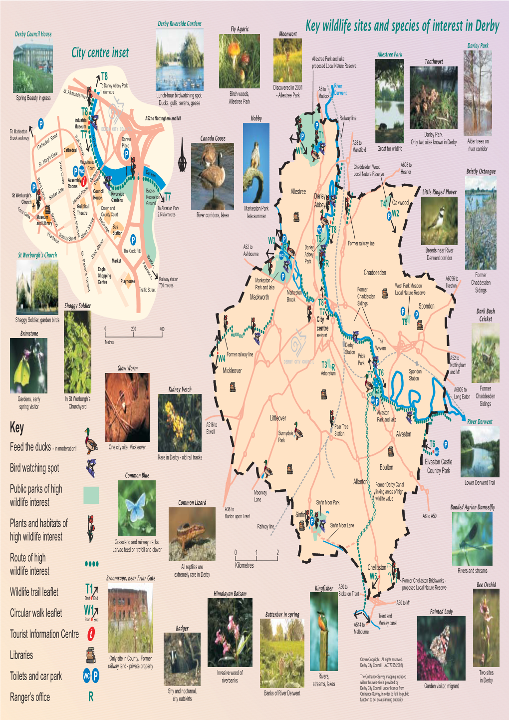 Key Wildlife Sites and Species of Interest in Derby