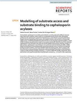 Modelling of Substrate Access and Substrate Binding to Cephalosporin Acylases