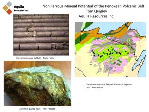 Non Ferrous Mineral Potential of the Penokean Volcanic Belt Tom