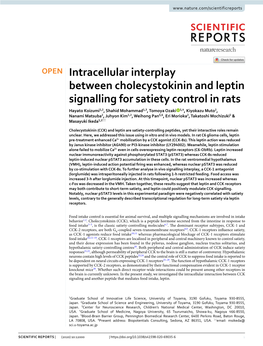 Intracellular Interplay Between Cholecystokinin and Leptin Signalling for Satiety Control in Rats