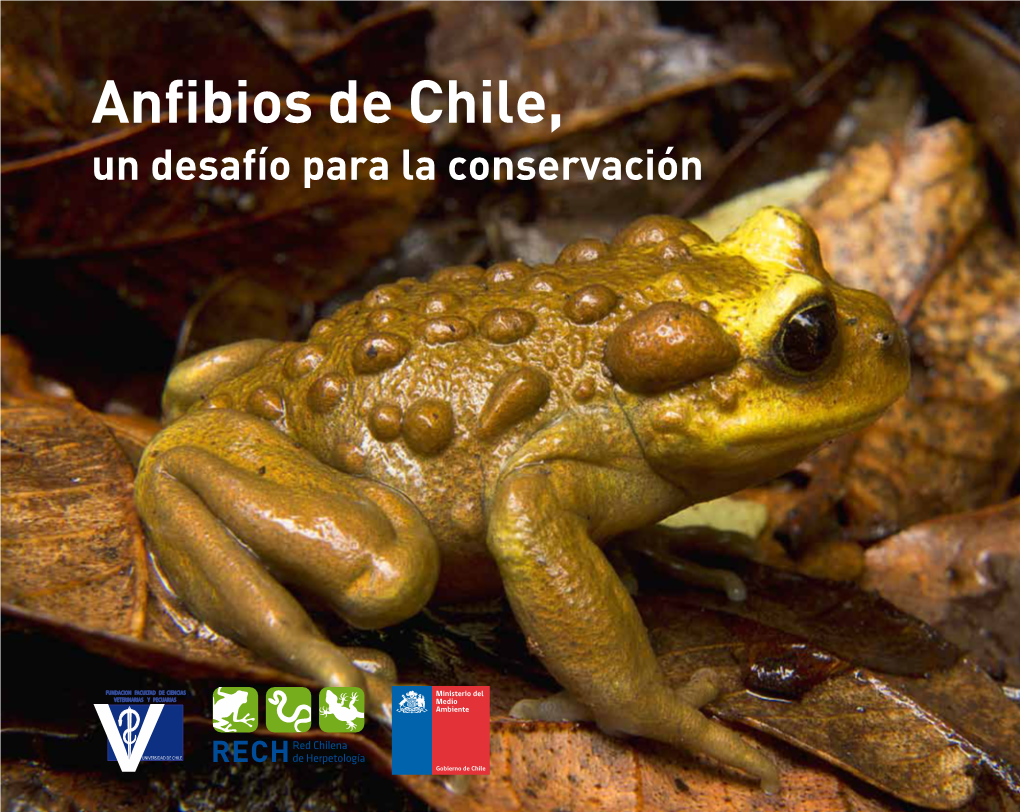 Anfibios De Chile, Un Desafío Para La Conservación Anfibios De Chile, Un Desafío Para La Conservación