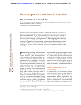Photoreceptor Cilia and Retinal Ciliopathies