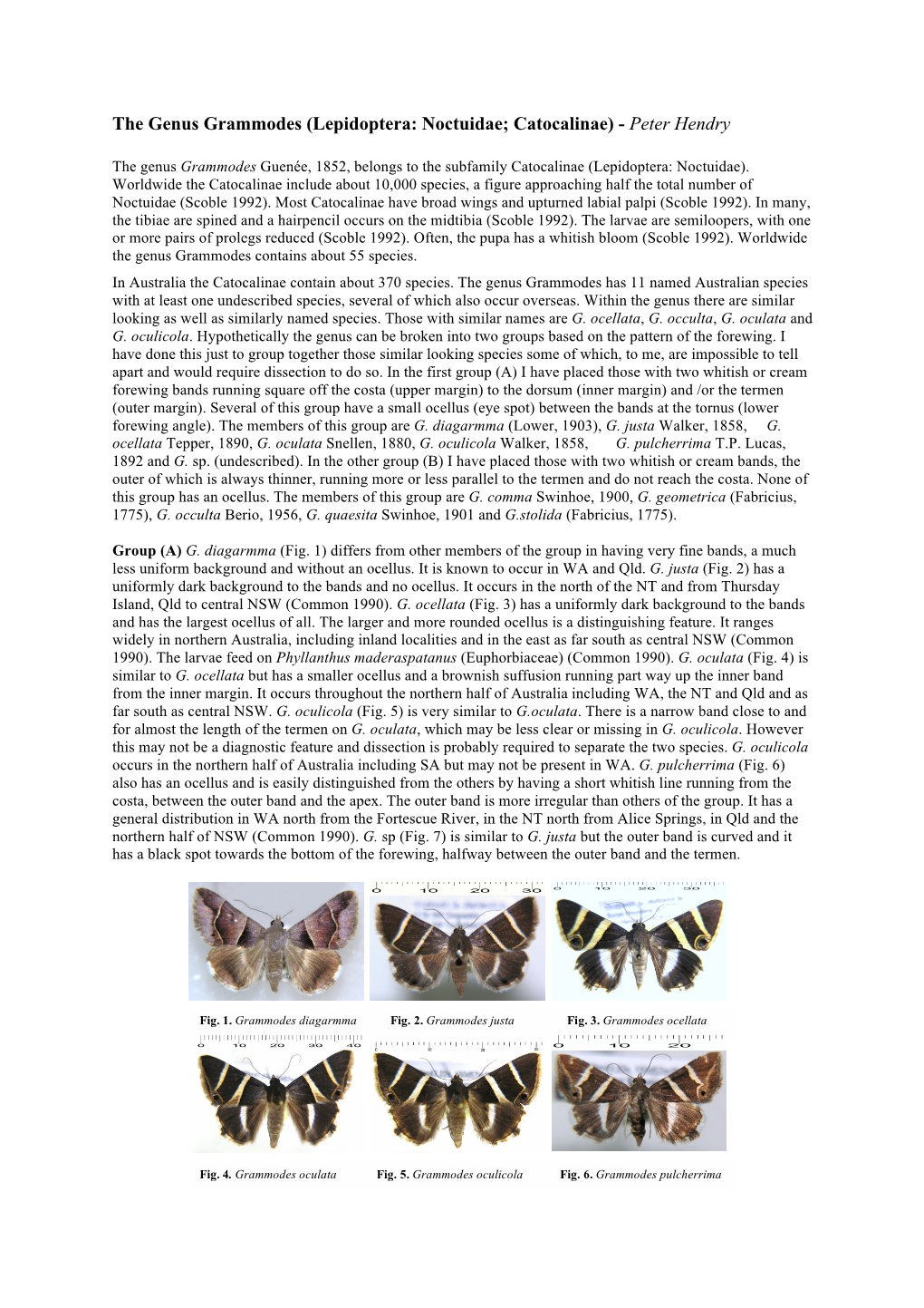 The Genus Grammodes (Lepidoptera: Noctuidae; Catocalinae) - Peter Hendry