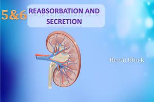 L5 6 -Renal Reabsorbation and Secretation [PDF]