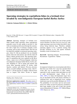 Spawning Strategies in Cypriniform Fishes in a Lowland River Invaded By