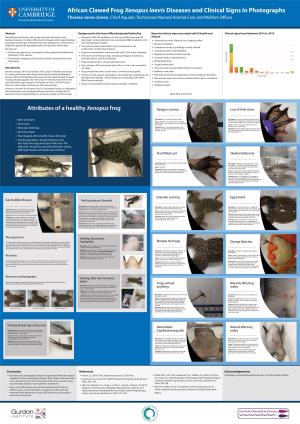 Disease and Clinical Signs Poster