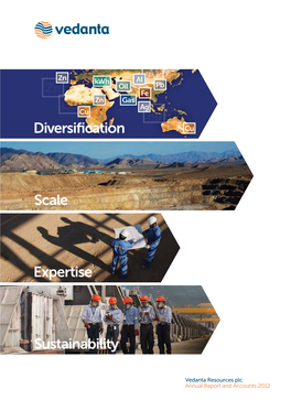 Sustainability Scale Expertise Diversification