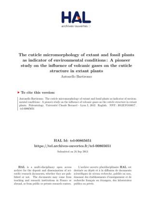 The Cuticle Micromorphology of Extant and Fossil
