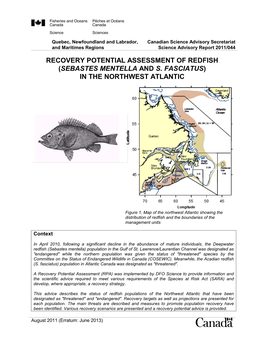Recovery Potential Assessment of Redfish (Sebastes Mentella and S