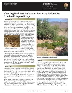Creating Backyard Ponds and Restoring Habitat for Lowland