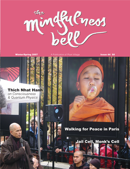 Walking for Peace in Paris Thich Nhat Hanh Jail Cell, Monk's Cell