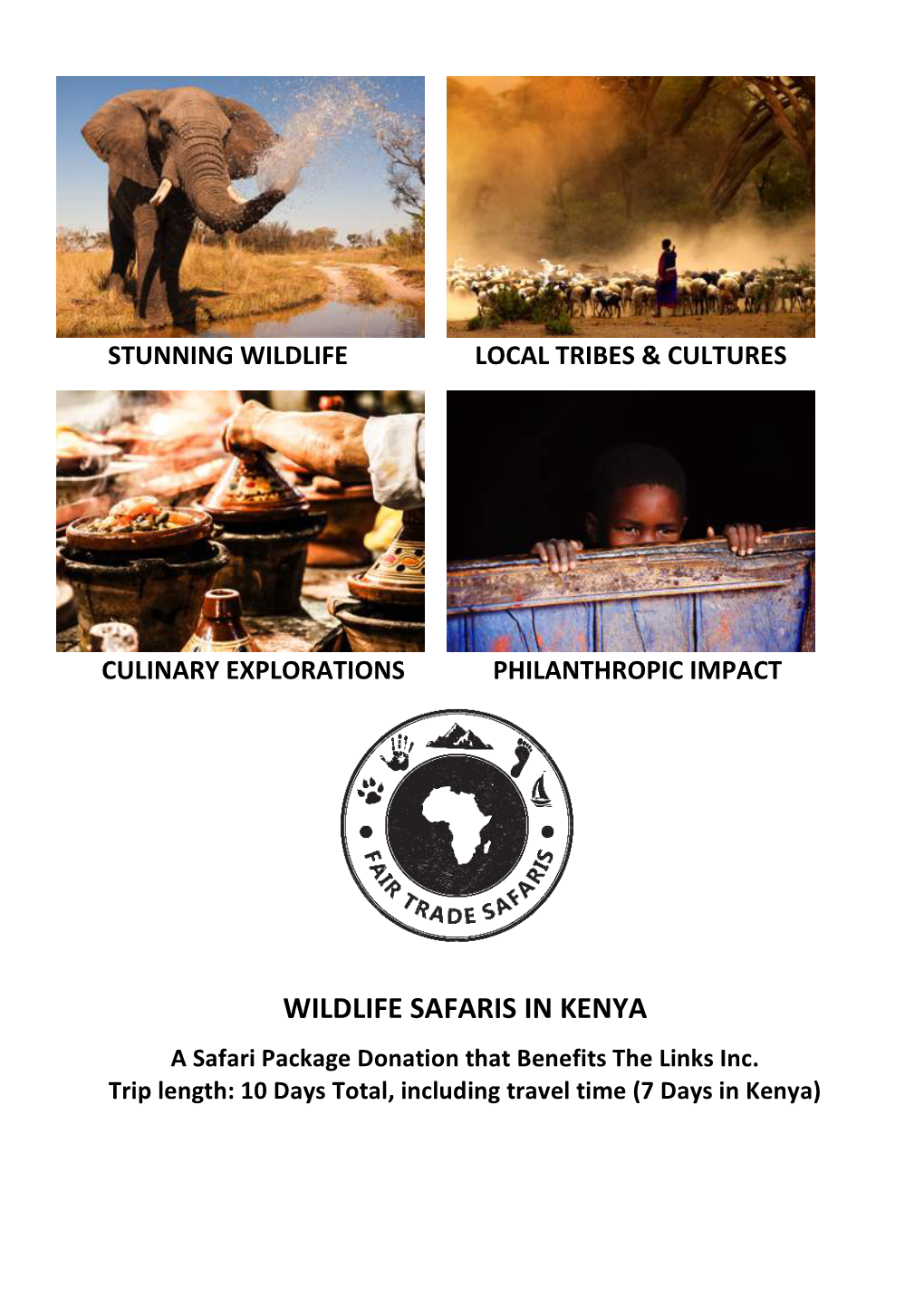 Wildlife Safaris in Kenya