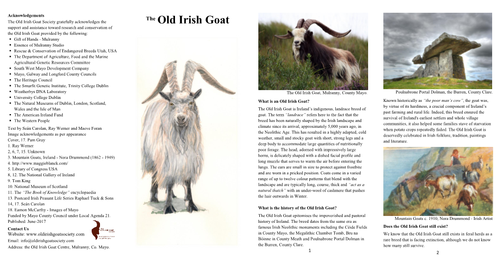 Download the Old Irish Goat Flyer