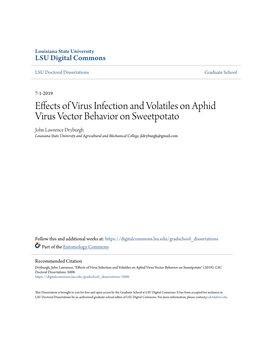 Effects of Virus Infection and Volatiles on Aphid Virus Vector Behavior On