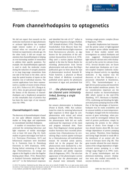 From Channelrhodopsins to Optogenetics ACCESS