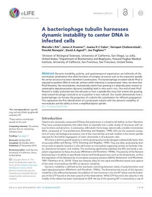 A Bacteriophage Tubulin Harnesses Dynamic Instability to Center DNA In