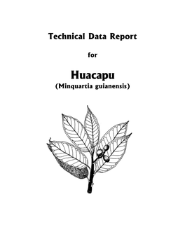 Huacapu-Tech-Report.Pdf