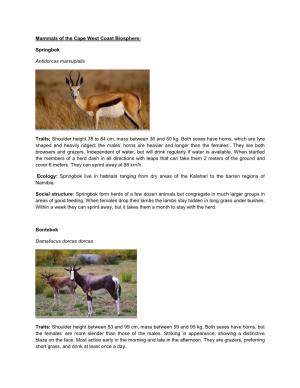 Mammals of the Cape West Coast Biosphere: Springbok Antidorcas
