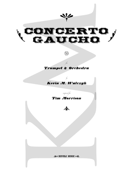CONCERTO GAUCHO H