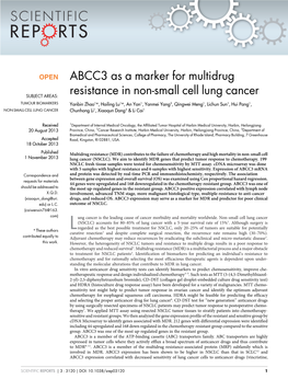 ABCC3 As a Marker for Multidrug Resistance in Non-Small Cell Lung