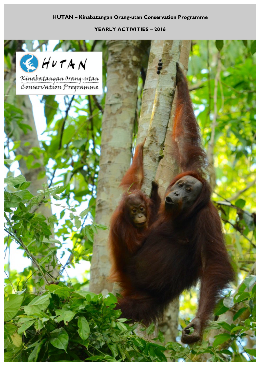 1 HUTAN – Kinabatangan Orang-Utan Conservation