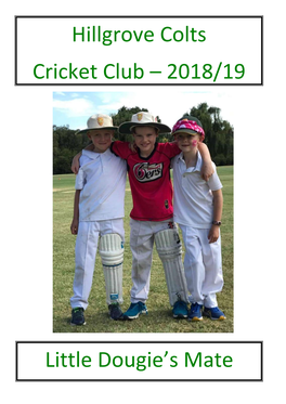 Hillgrove Colts Cricket Club – 2018/19 Little Dougie's Mate 2010/11