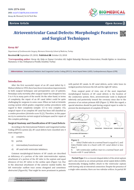 Atrioventricular Canal Defects: Morphologic Features and Surgical Techniques