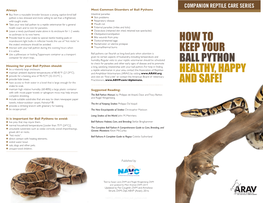 How to Keep Your Ball Python Healthy, Happy and Safe!