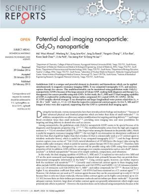 Potential Dual Imaging Nanoparticle