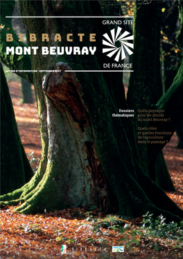 Bibracte Mont Beuvray