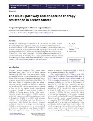 The NF-KB Pathway and Endocrine Therapy Resistance in Breast Cancer