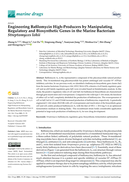 Engineering Bafilomycin High-Producers by Manipulating Regulatory and Biosynthetic Genes in the Marine Bacterium Streptomyces Lo