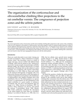 The Organization of the Corticonuclear and Olivocerebellar Climbing Fiber