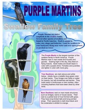 Swallow Family Tree