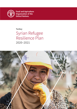 Turkey – Syrian Refugee Resilience Plan 2020–2021