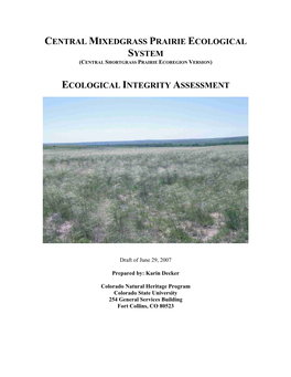 Central Mixedgrass Prairie Ecological System (Central Shortgrass Prairie Ecoregion Version)
