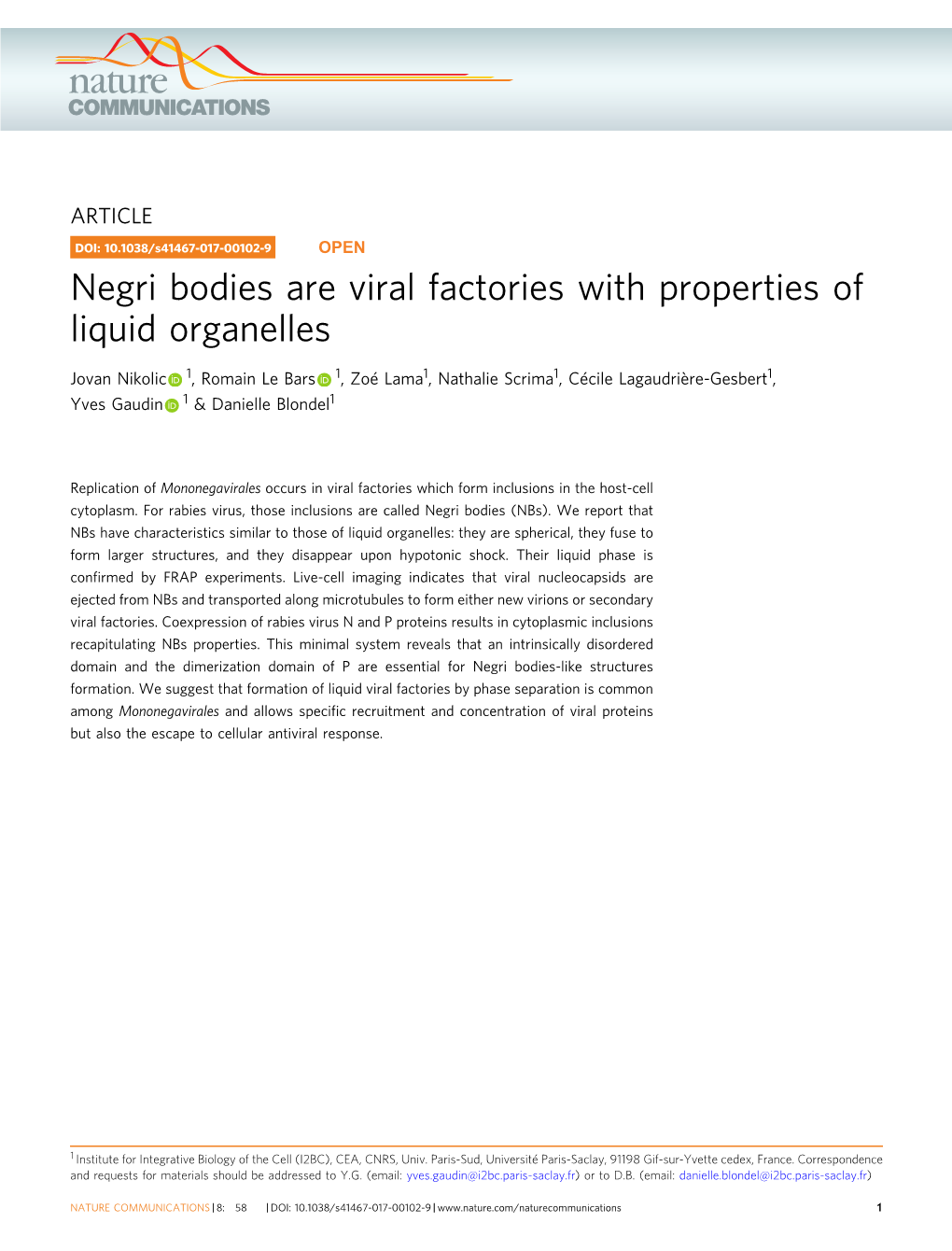 Negri Bodies Are Viral Factories with Properties of Liquid Organelles