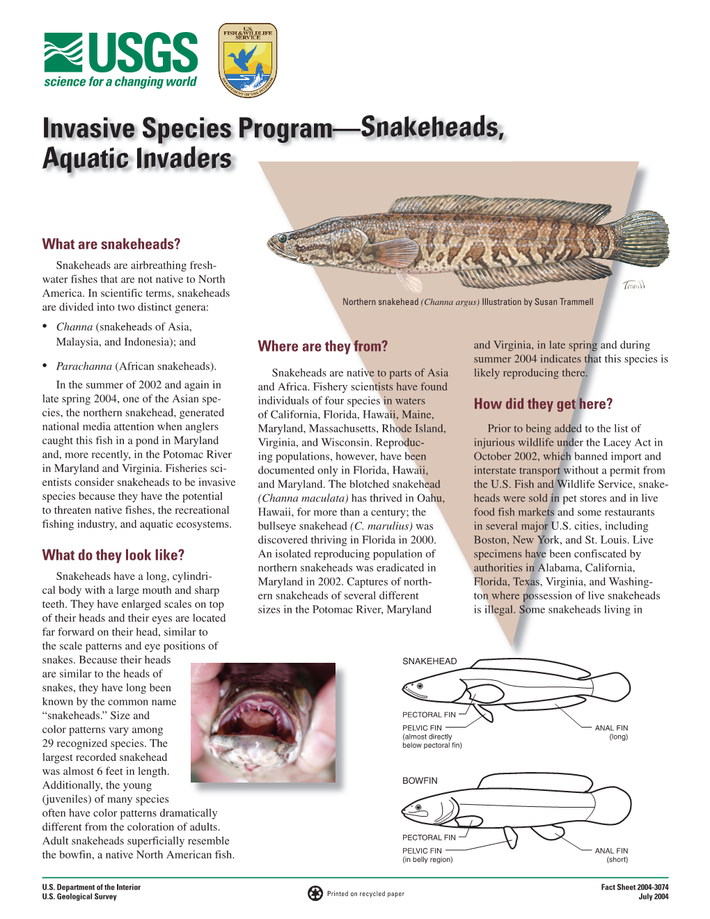 Invasive Species Program—Snakeheads, Aquatic Invaders