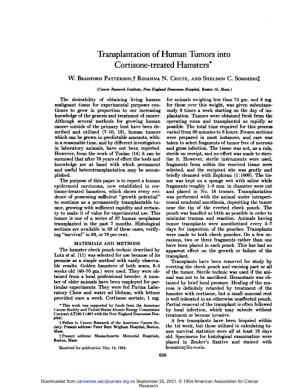 Transplantation of Human Tumors Into Cortisone-Treated Hamsters*