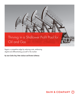Thriving in a Shallower Profit Pool for Oil and Gas