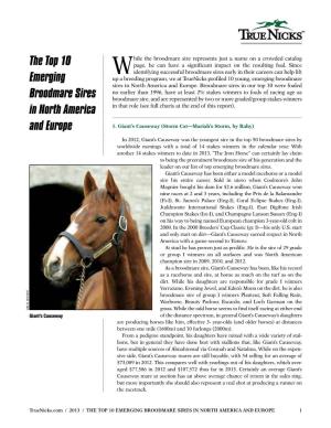 The Top 10 Emerging Broodmare Sires in North America and Europe 1 2
