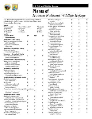 Plants of Havasu National Wildlife Refuge