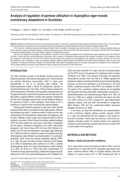 Analysis of Regulation of Pentose Utilisation in Aspergillus Niger Reveals Evolutionary Adaptations in Eurotiales